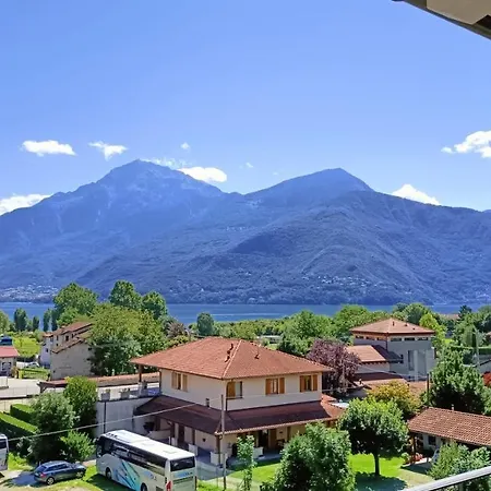 Calle - Larihome A37 * ドンゴ