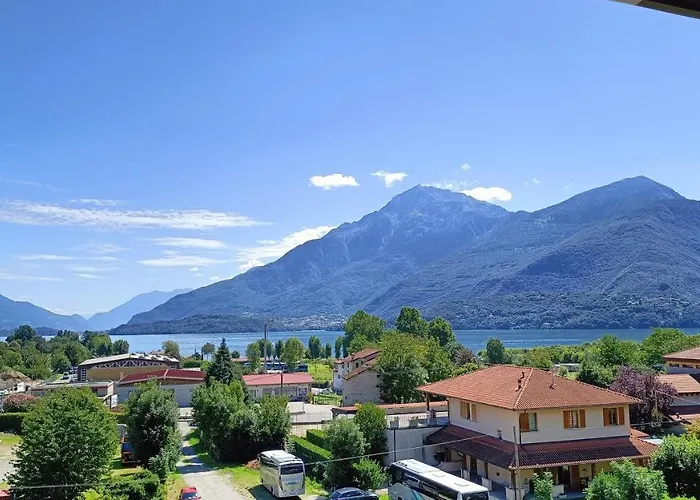 Calle - Larihome A37